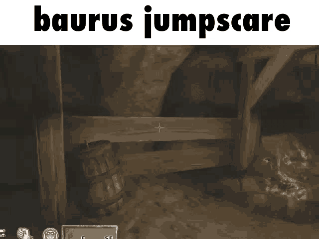 Oblivion Elder Scrolls GIF