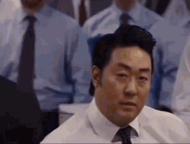 Obyc Okay Bears GIF