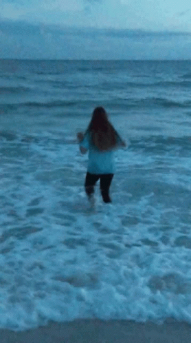 Ocean Beach GIF