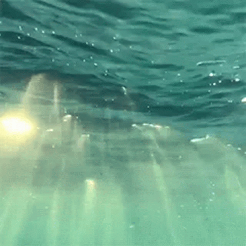 Ocean Calm GIF