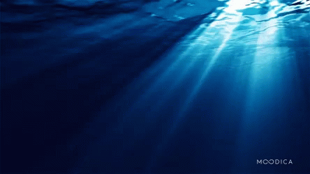 Ocean Sea GIF