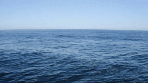 Ocean Sea GIF