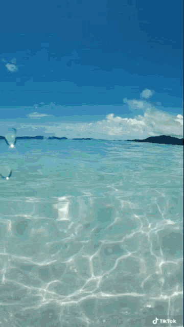 Ocean Thewaterkillsme GIF