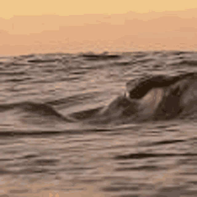 Ocean Waves Meme