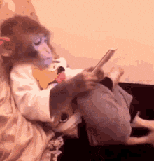 Oceansjonas Monkey GIF