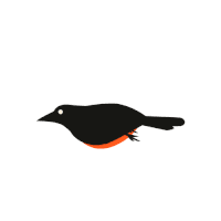 Ocupaa Cidade Sabia Sticker