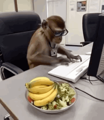Ogwlz Monkey GIF