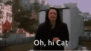 Oh Hi Cat GIF