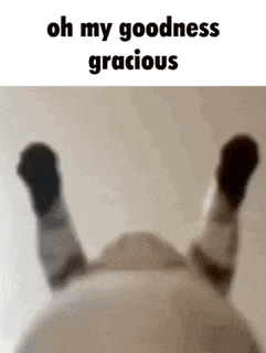 Oh My Goodness Gracious Cat GIF