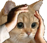 Oh No Sticker