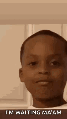 Oh Really Raise Eyebrows GIF