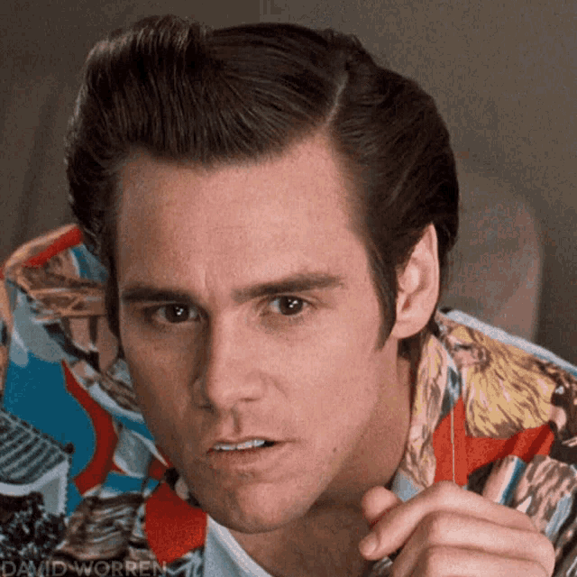 Oh Really Seriously GIF