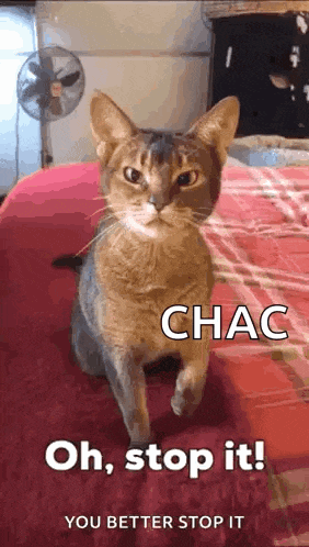 Oh Stop It Oh GIF