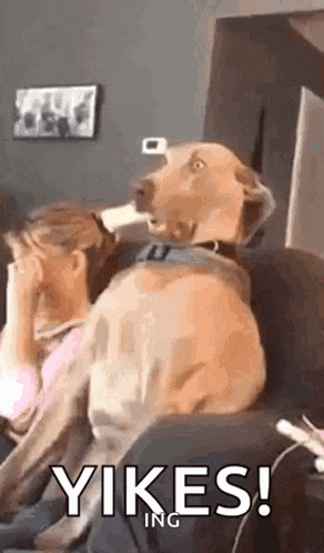 Oh Uh Oh’ GIF