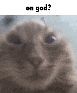 Oh Word Really GIF