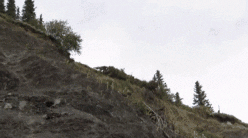 Oh Yes On The Right GIF