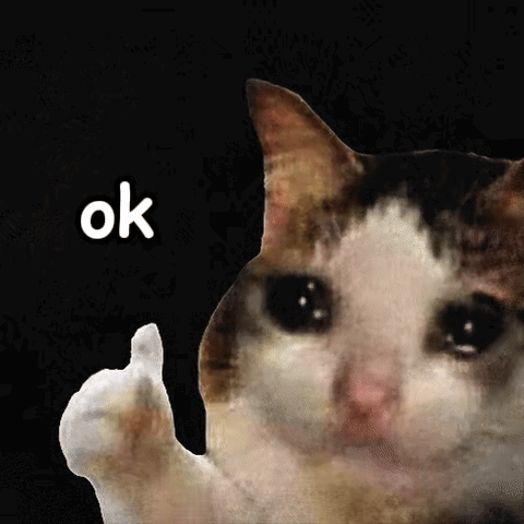 Ok Cat GIF. This 480 x 480 animated GIF is part of our ok collection. Related themes include cat. Created by onchainkillah. View the original animation…