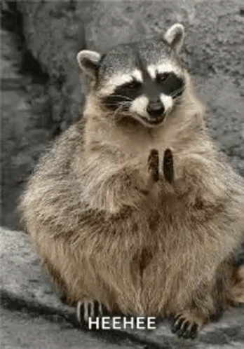 Ok Creep GIF