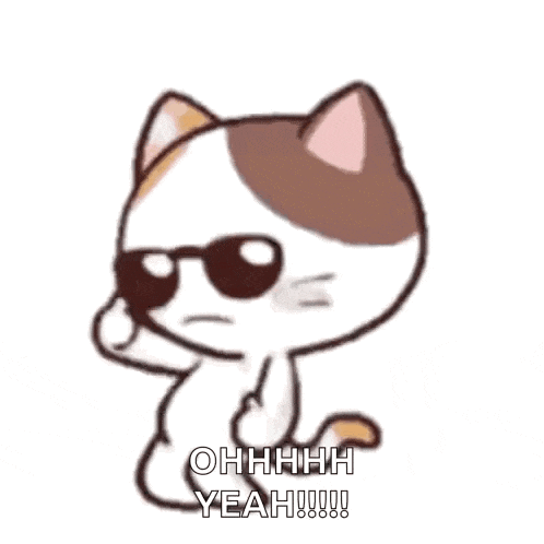 Ok Dance Cat GIF
