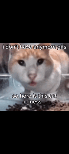 Ok GIF