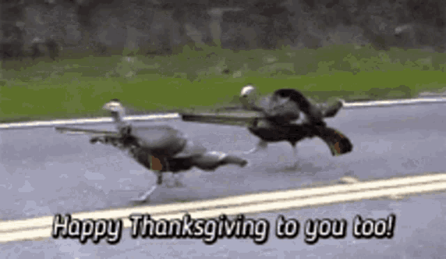 Ok Wasd GIF