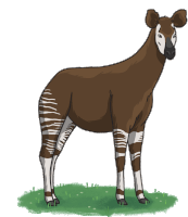 Okapi Sticker