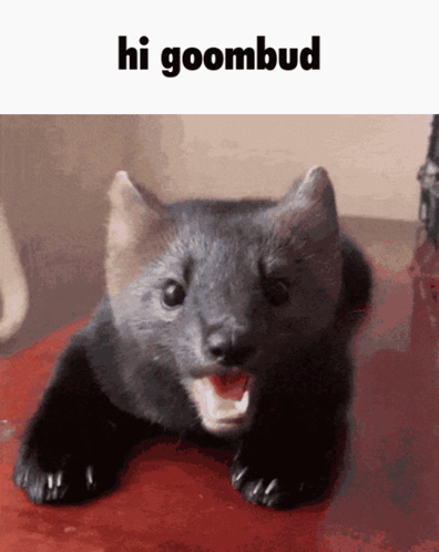 Okbh GIF