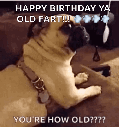 Old Getting GIF