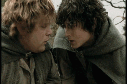 Oliphant Mr Frodo GIF