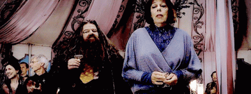 Olympe Maxime Harry Potter GIF. This 498 x 188 animated GIF is part of our hagrid collection. Related themes include harry potter. Created by LushoMarro…