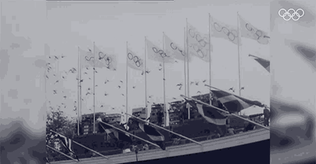 Olympics Olympic Games GIF