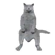 Omg Is That Real Cat Sticker