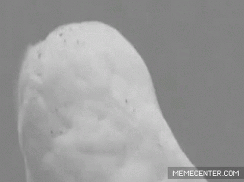 Omg Just When I Thought Ive Seen It All GIF. This 498 x 373 animated GIF is part of our just when i thought i was out collection. Related themes include…