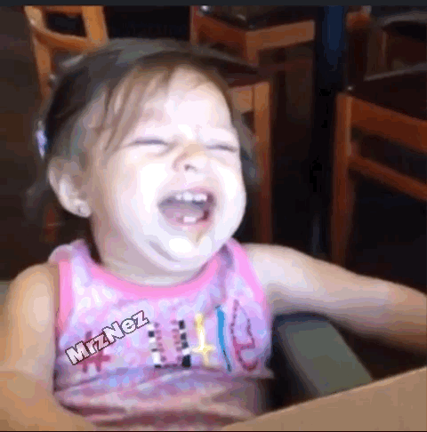 Omg Lol GIF