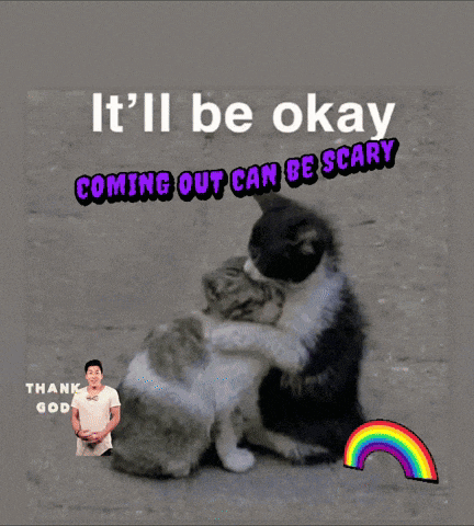 Omg Really Omg Omg Omg GIF