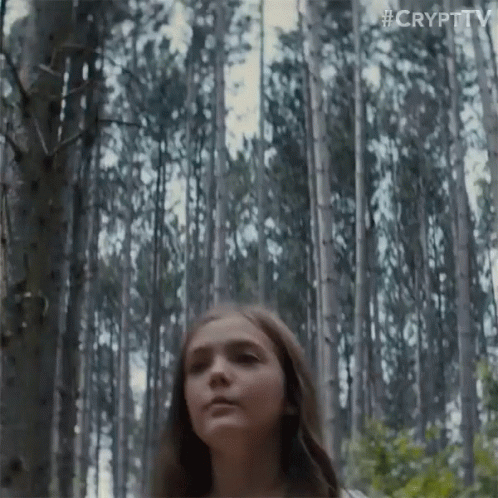 Ominous Woods Walking In The Woods GIF