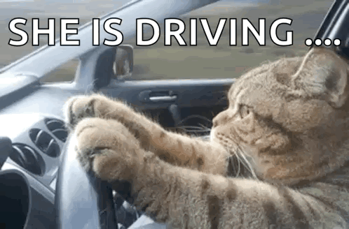Omw GIF