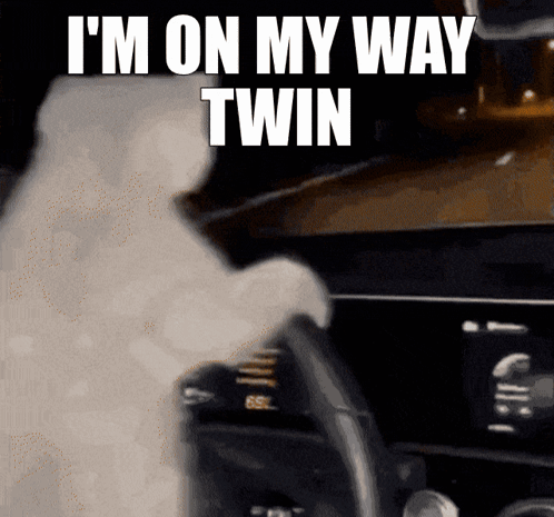 Omw Twin GIF