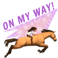 On My Way To The Speed Of Light Sticker