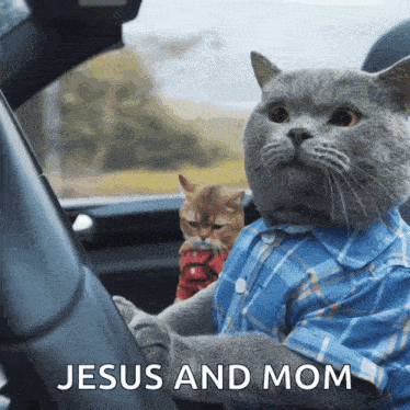 Ondrejbrousil Cat Driving GIF