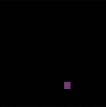 One Leg Bird Edit GIF