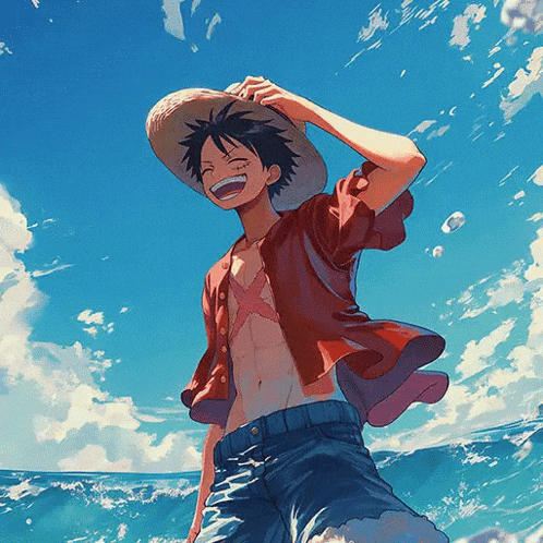 One Piece Meme
