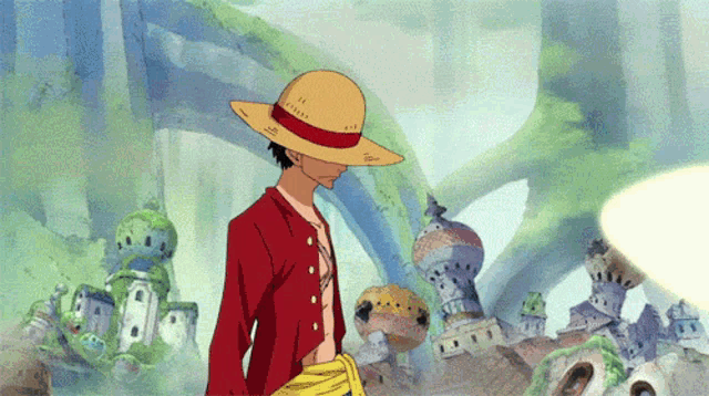 One Piece One GIF