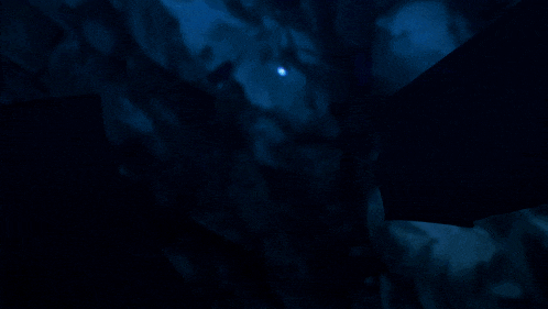 One Piece Onigashima Arc GIF