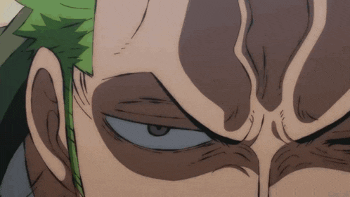 One Piece Roronoa Zoro GIF