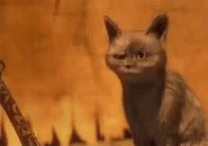 Ooh Ooo GIF