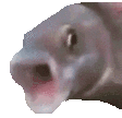 Oooo Pogfish Sticker