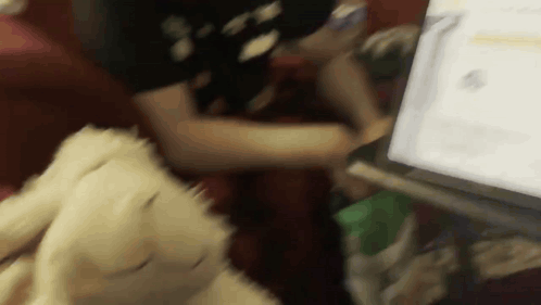Ooooh Sheep GIF