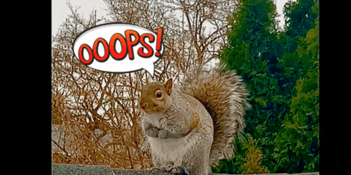 Oops Oops Sorry GIF