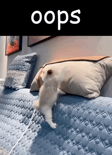 Oops Oopsie GIF